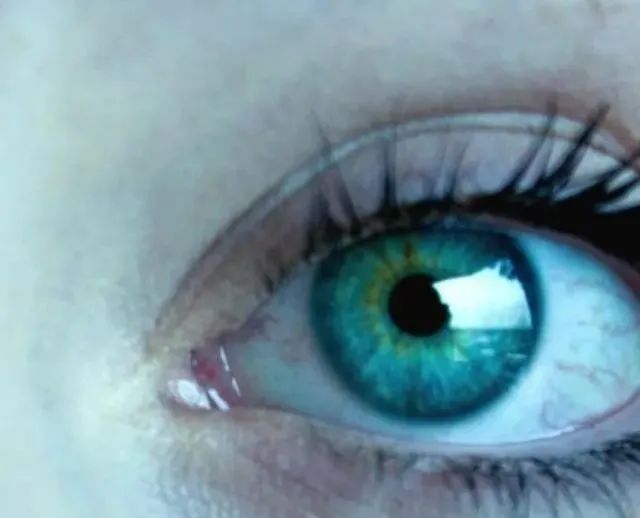 超级视力是什么？这个女生能够比普通人多看到9900万种颜色
