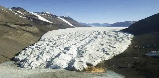 南极新物种被发现，科学家为生存环境担忧，人手掌温度能烫伤它！