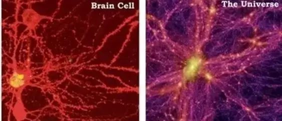 科学家惊人发现 宇宙就是我们的大脑 而古人早已言明