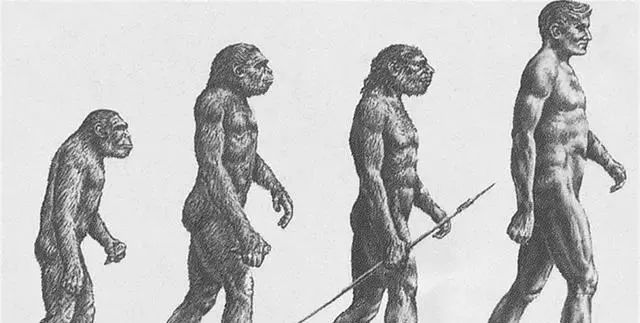 科学家的新发现，180万年前的人就会“涮火锅”了？进化论有误？