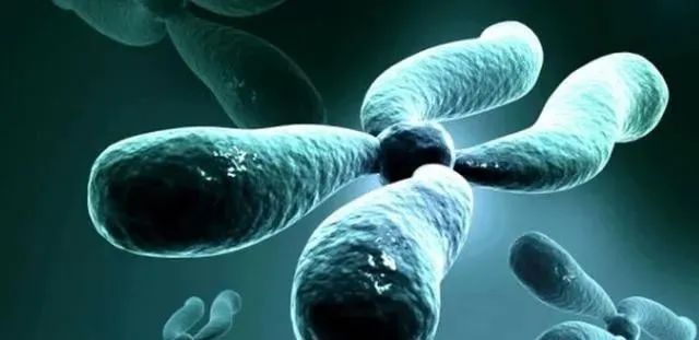 人类进化时丢失了一对染色体，难道人类是被“改造”了？至今成谜！