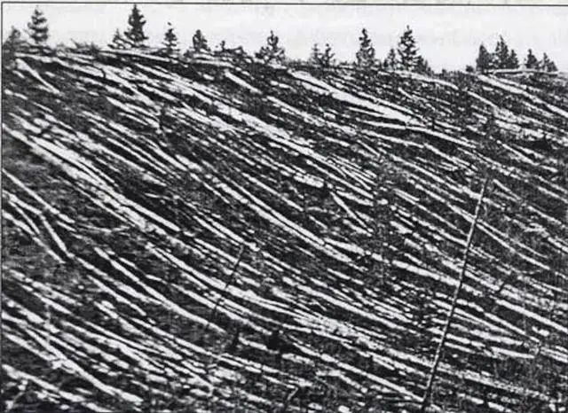 通古斯事件之谜：一声巨响，8000万棵树倒下，科学家给出新解释