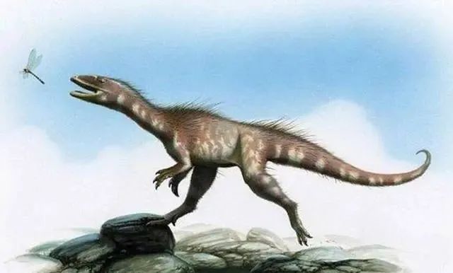 霸王龙的亲戚被找到！科学家发现全新物种，它和霸王龙同一祖先