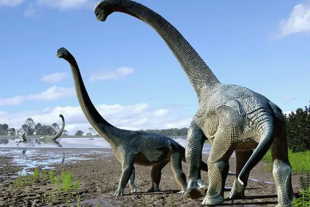统治地球近2亿年的恐龙为什么没进化出文明？看看它2亿年在干嘛