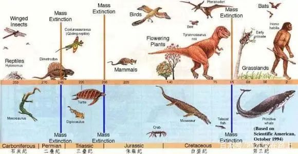 科学家警告：第6次生物大灭绝要来了