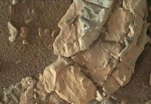 科学家在火星上发现的化石，表明了有远古生命的存在