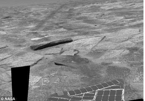 科学家在火星上发现一颗枯萎的木头, 火星森林之谜或被揭开
