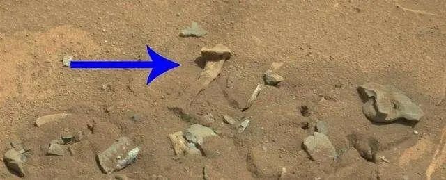 火星发现“人腿骨”是怎么回事？是生命化石？科学家给出了解释