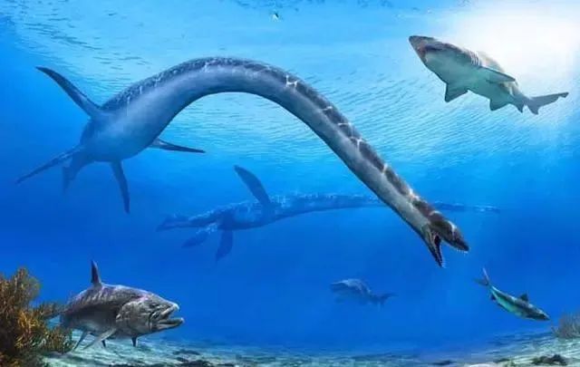 尼斯湖水怪是蛇颈龙、鹅、鸭还是鳗鱼？DNA鉴定的答案是真的吗？