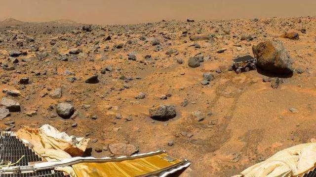 美科学家发现火星昆虫，火星上真会有生命存在吗？这样一看就知道