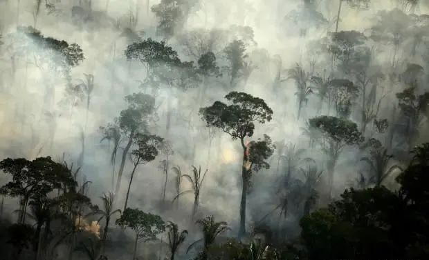 科学家警告“临界点”，亚马逊雨林“可能在短短50年内消失”