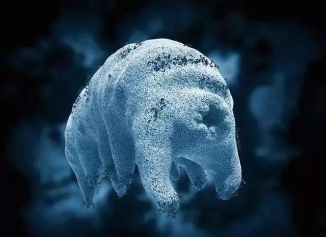 已经过去了50年，全球首位“冰冻人”将被解冻，他还能活过来吗？