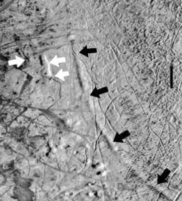 美国航天局公布探寻木卫二生命迹象的利器