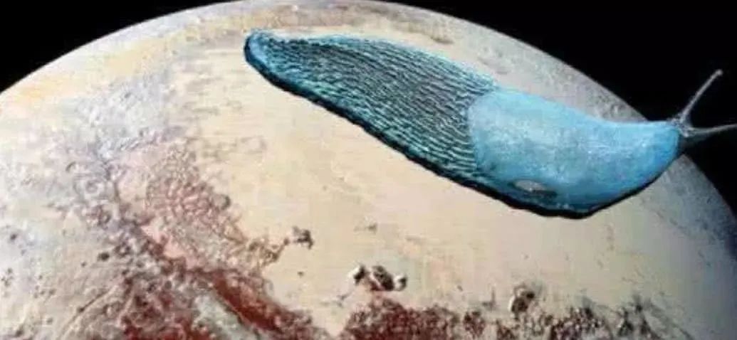 冥王星上出现的蜗牛，放大后科学家为何如此恐惧？真相已瞒不住了