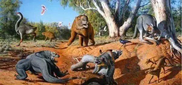 恐龙灭绝再到人类出现之前，地球发生了什么？