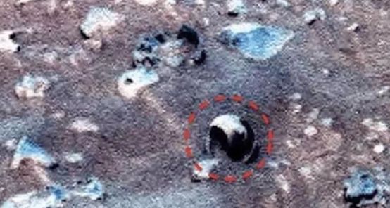 探测器发现火星上有贝壳，难道存在生命？NASA未发声让人疑惑
