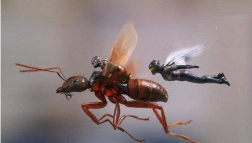 一只倒霉的蚂蚁从10万米高空掉落，它会怎么个死法？