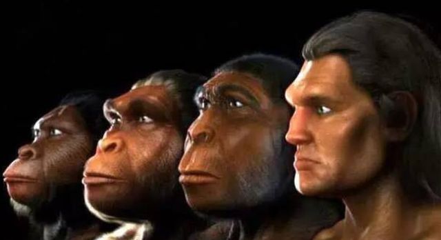 人类已经进化到终点了吗？科学家：未来人类的进化更可怕？！