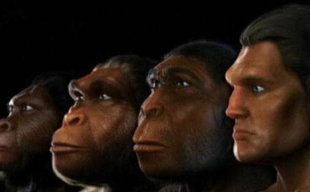 地球上第一个人类是如何诞生的？达尔文进化论是真的吗？