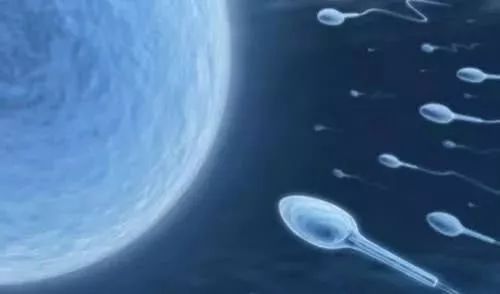 人类未来有可能创造出所谓的“太空婴儿”，以此来殖民外星球