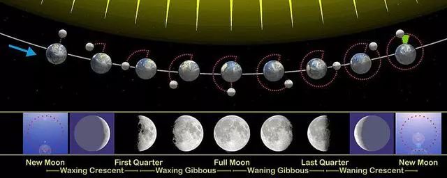 什么是月球天平动？为什么在地球上可以看到59%的月球表面？