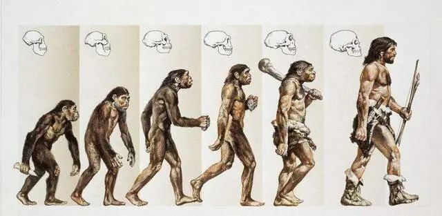 人类进化史出现13万年断层，进化论再遭质疑，科学家却这样解释