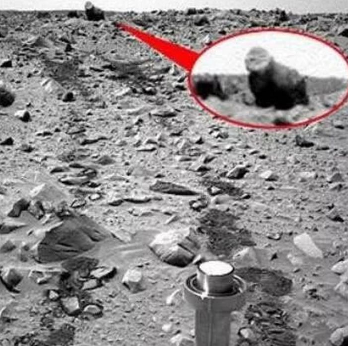 探测器在火星发现黑猿，距离不过800米，专家：它们套路不同！