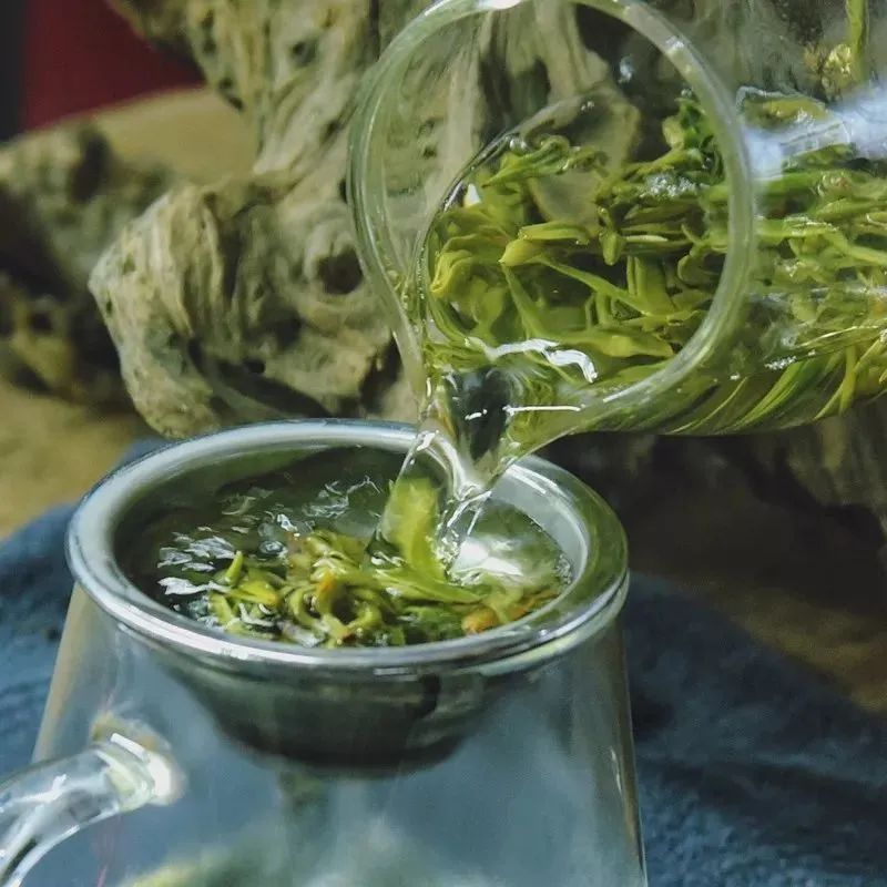 绿茶的功效与作用，绿茶的正确冲泡方法