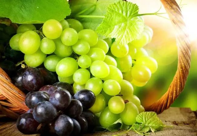 葡萄的功效与作用及营养价值