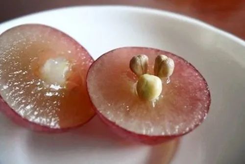 葡萄籽的功效与作用，葡萄籽可以美白吗