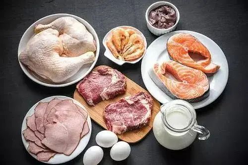 蛋白质的五大作用，蛋白质含量高的食物有哪些