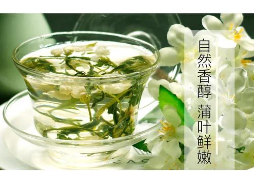 蒲公英茶的功效与作用，蒲公英茶的制作方法