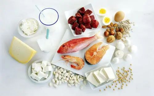 蛋白质的五大作用，蛋白质含量高的食物有哪些