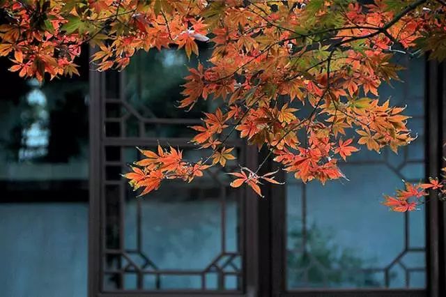唐诗宋词里，秋天的九种情调，你喜欢哪一种？