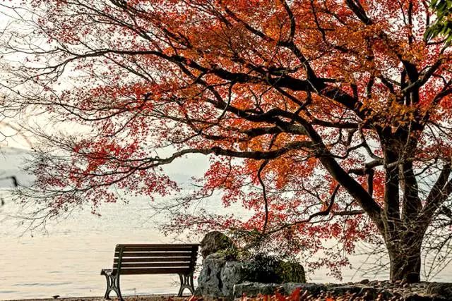 唐诗宋词里，秋天的九种情调，你喜欢哪一种？