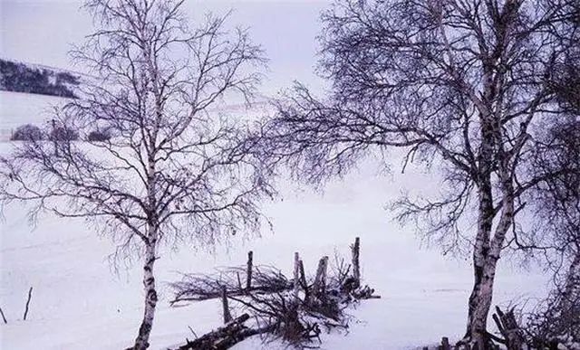 王维诗词里的大雪，宁静致远，一如他难得的自在秉性！