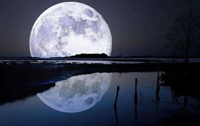 “月”意象在诗词中表达的情感有哪些？表达的手法又有哪几种？