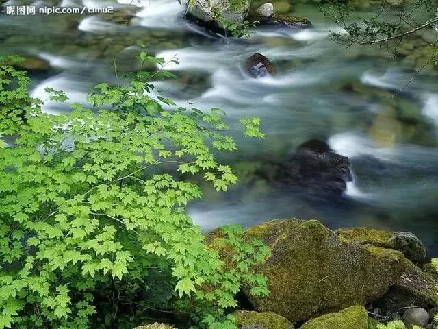 王维隐居山中写下一首诗，短短40字，惊艳了整个秋天