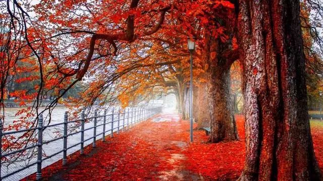 木叶落，秋分至，正是一年最美时