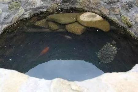 古人打井的时候，为何必须要放两只乌龟在井底？