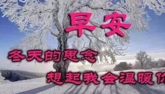 冬天天冷了暖心问候语句，冬天里最温暖的祝福语2020