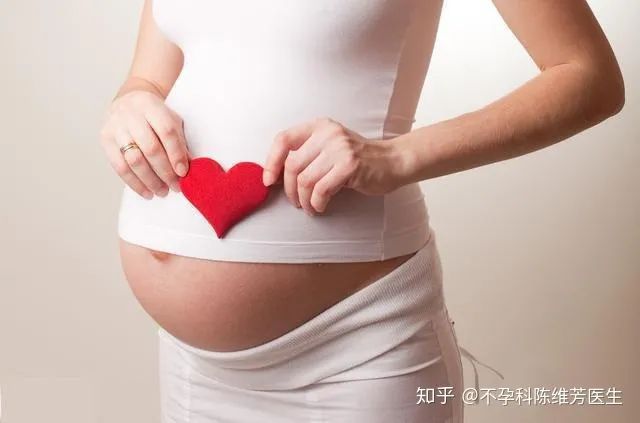 子宫前位VS子宫后位，怎样才容易受孕