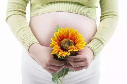 快速怀孕“6大秘诀”，每个人都应该背下来！