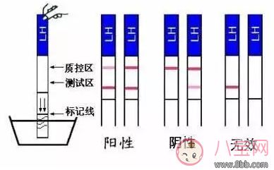 4天内快速怀孕成功 成功率最高的怀孕方法