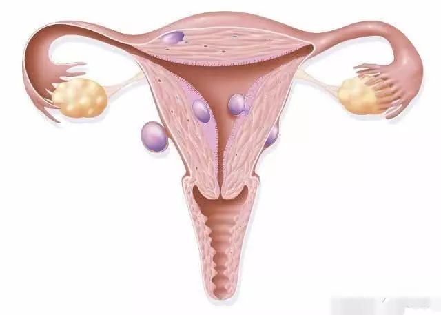 那些能快速怀孕的女人，多数都有这3个“特征”，希望你也有！