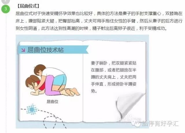 清晰图解子宫前中后位及最易受孕姿势