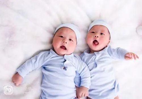 备孕：吃什么容易生双胞胎