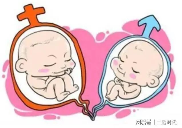 子宫竟然可以有两个?双子宫还会怀孕吗?