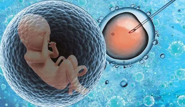 精子在女性体内能活多久，搞不清楚这个，抓住排卵期也未必能怀上