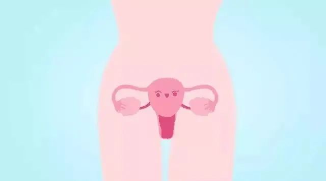 子宫问题大全丨哪些子宫因素会导致不孕？